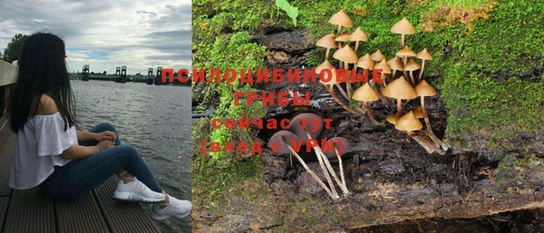 амф Нефтекумск